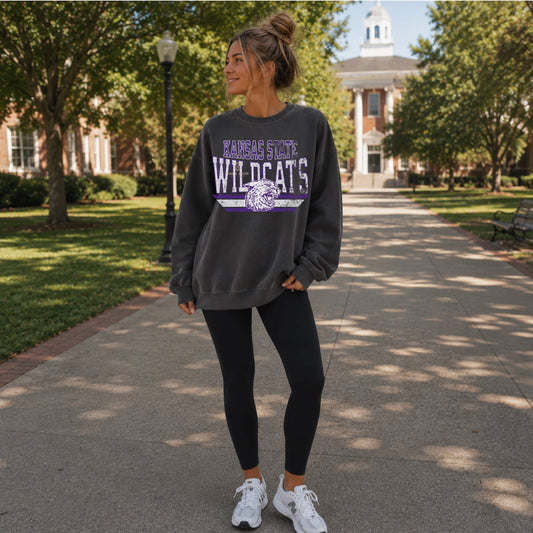 Vintage Wildcats-Adult